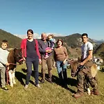Hinteregghof Форстау
