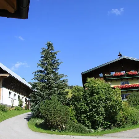Farm stay Hinteregghof Forstau (Salzburg)