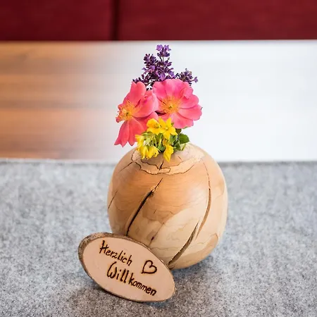 Farm stay Hinteregghof Forstau (Salzburg)