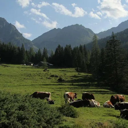 Farm stay Hinteregghof *